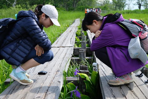 聖ヶ丘の探究学習「A知探Qの夏 2019~Ⅱ期~」