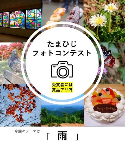第1回たまひじフォトコンテスト