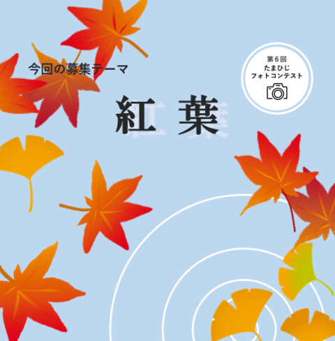 第6回たまひじフォトコンテスト
