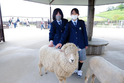 中学1年オリエンテーション合宿①