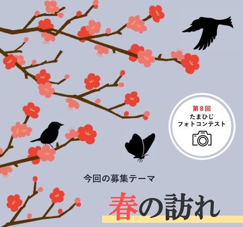 第8回たまひじフォトコンテスト