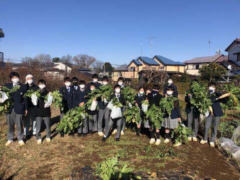 冬野菜 大収穫祭!