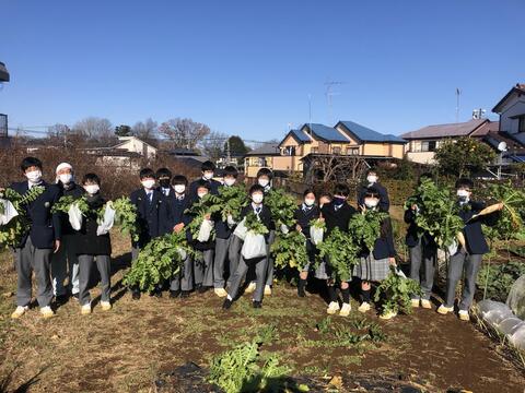 冬野菜 大収穫祭！